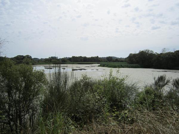 Lago Cospeito